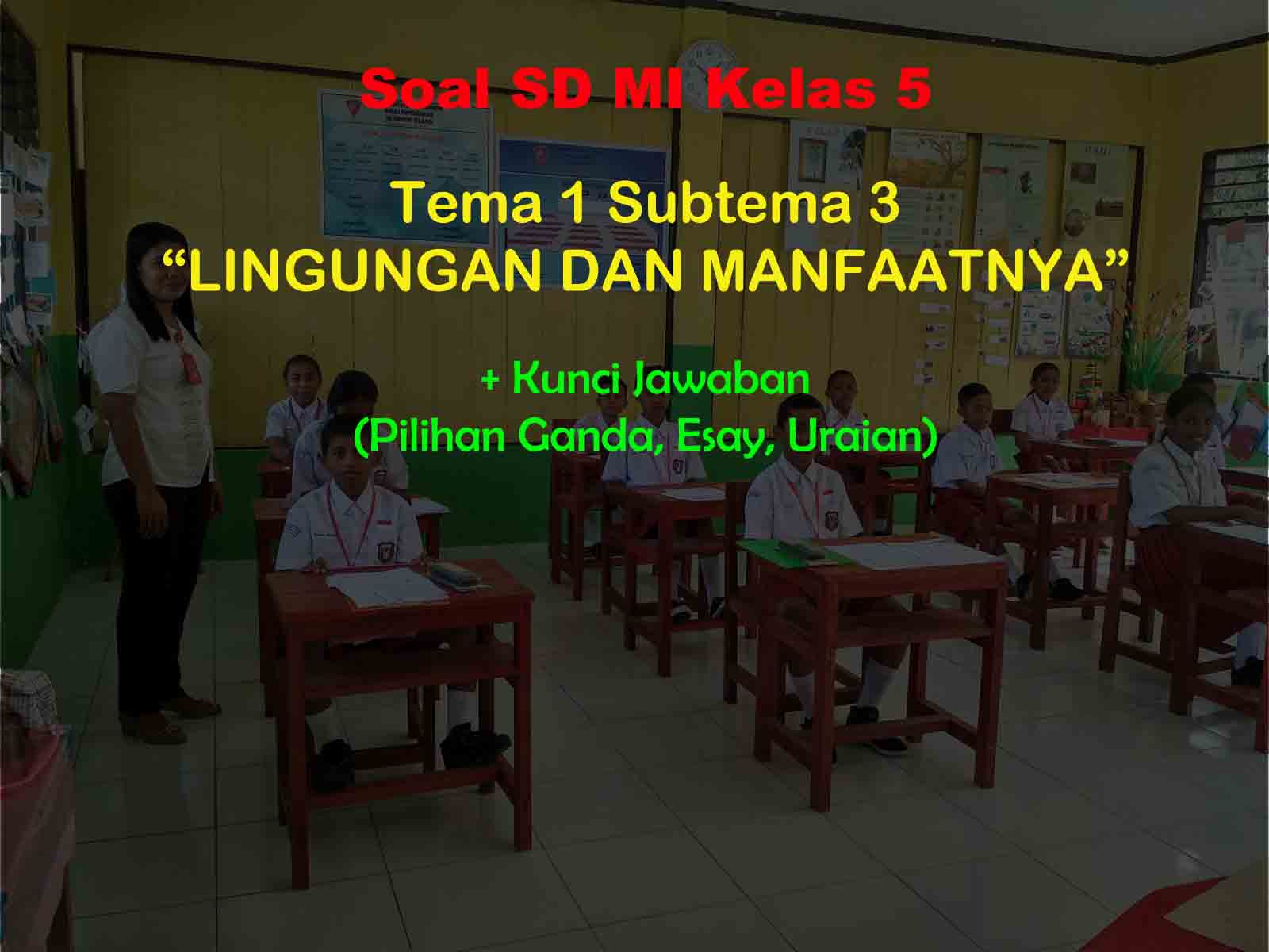 Soal Kelas 5 Tema 1 Subtema 3 Lingkungan dan Manfaatnya & Jawaban