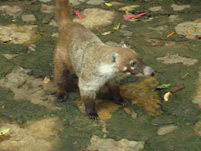 La Tzaráracua, Michoacán