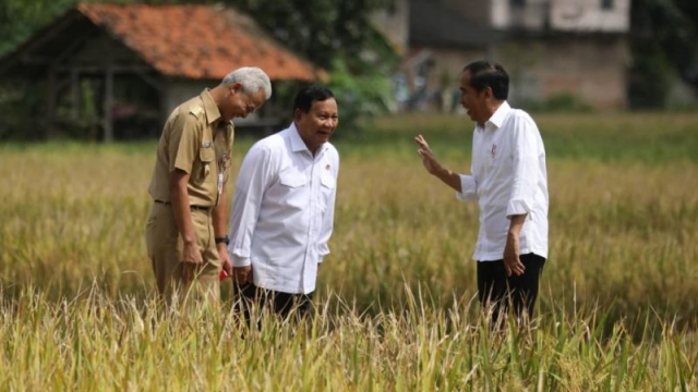 Bacapres Tidak Percaya Diri Berharap Cawe-cawe Jokowi