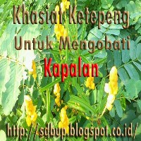 obat herbal untuk mengobati kudis