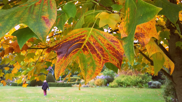 The Courts Gardens, Holt, Wiltshire - National Trust // 76sunflowers