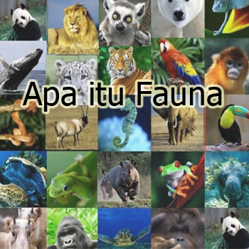 Pengertian Fauna