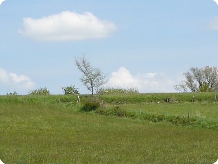 P1140802