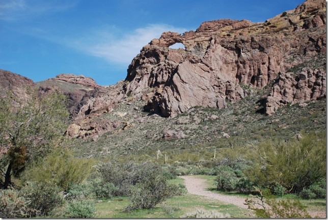03-05-19 Ajo Mountain Loop - OPCNM 098