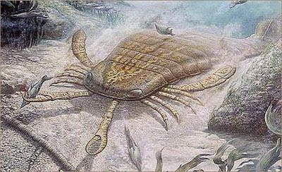 Sea Scorpion - Was Bigger Than a Human  Seen On www.coolpicturegallery.us