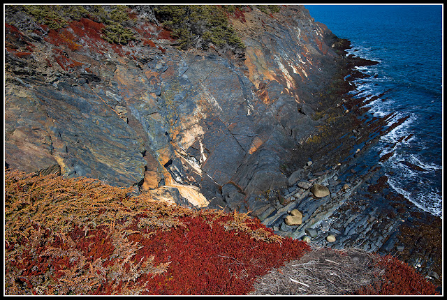 Gaff Point; Nova Scotia