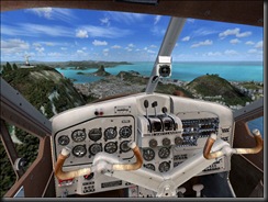 Flight Simulator
