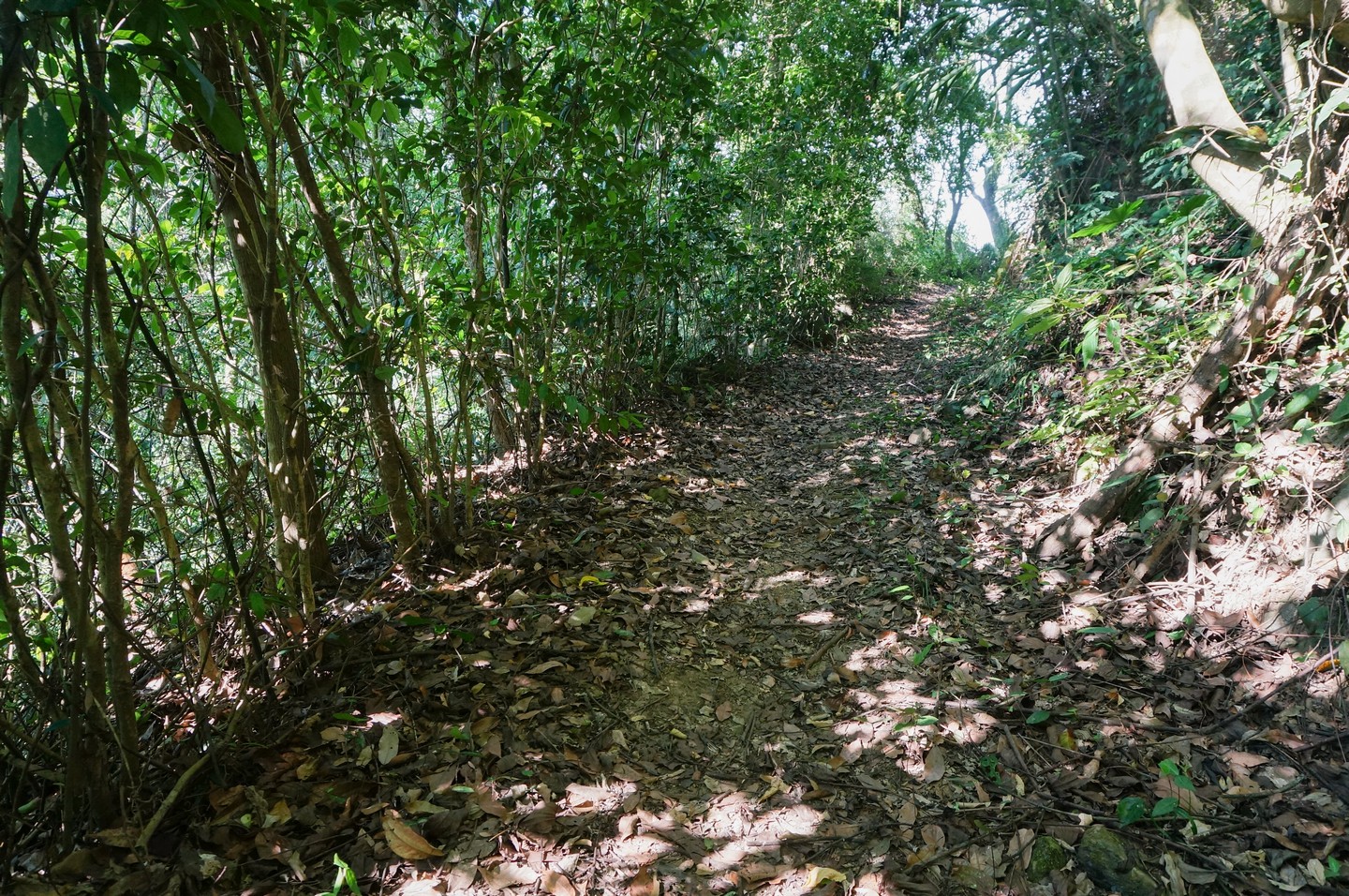 泰安登山步道