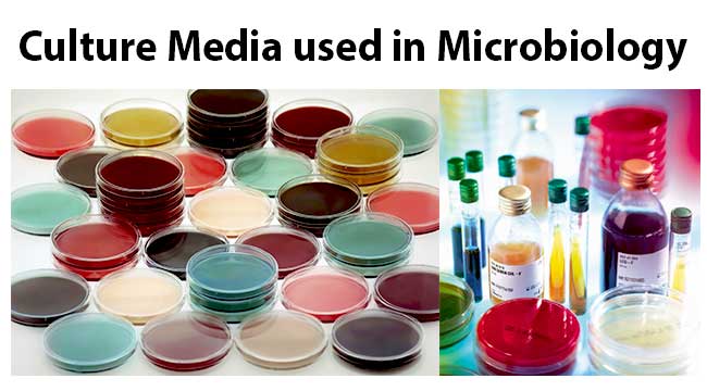 PHARMACEUTICAL MICROBIOLOGY: Microbial Growth media Requirements