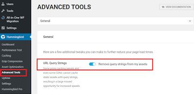 WordPress se Query Strings Remove kaise kare