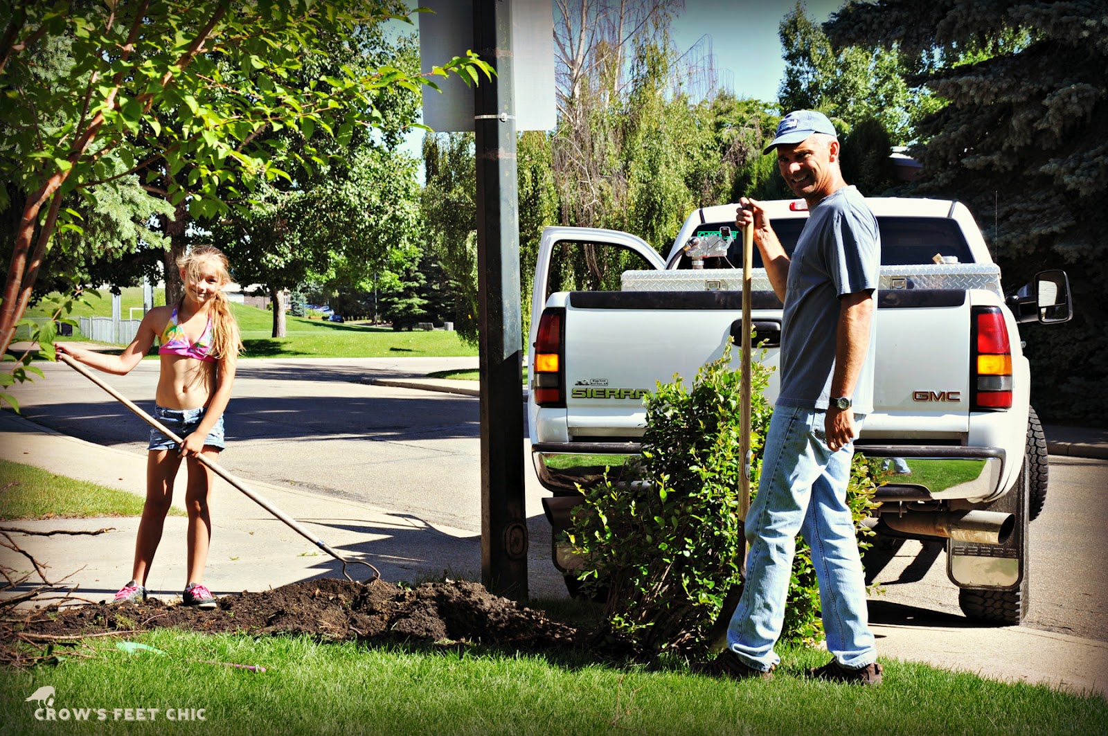 Fairy Yardmother: Front Yards -- Hedges and Columns