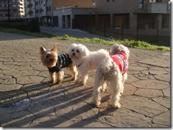 Los hermanos con Ronie