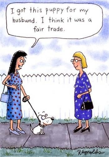 Dog Cartoon Collection ~ Funny Joke Pictures