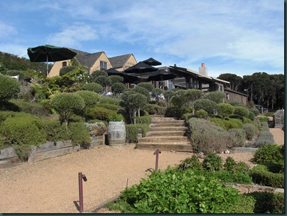 AUK and Waiheke Island 2010 068
