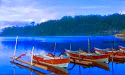 Bedugul Bali Tourism