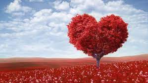 Here, I publish articles, poetries, travelogues, novels, fiction, short stories, humorous stories, moral stories, and love stories in Urdu  & English. Fiction