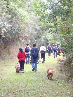 Patas 21 (161)