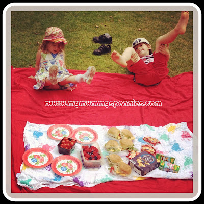 a fun summer picnic in the park