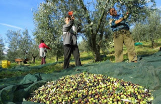 Κεφάλαια για τους αγρότες για την προώθηση των σχεδίων τους