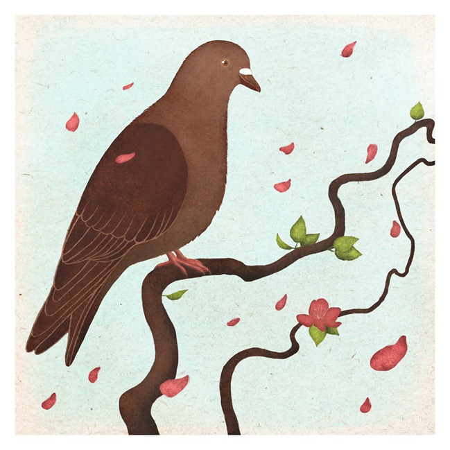 a dove