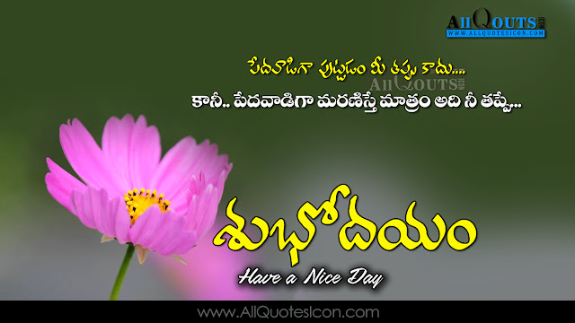 Telugu-good-morning-quotes-wshes-for-Whatsapp-Life-Facebook-Images-Inspirational-Thoughts-Sayings-greetings-wallpapers-pictures-images