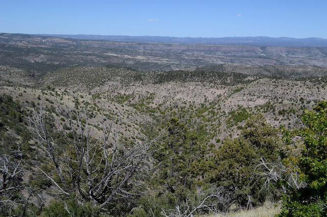 northern collection of canyons