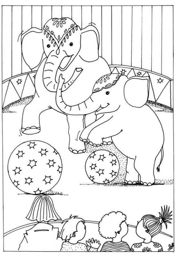 Download Coloring Book Pictures Animals - 138+ DXF Include for Cricut, Silhouette and Other Machine