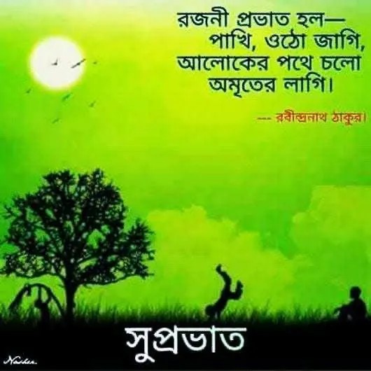 শুভ সকাল ছবি ও পিকচার ডাউনলোড | Good Morning Picture Download শুভ সকাল ছবি ও পিকচার ডাউনলোড | Good Morning Picture Download