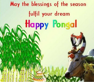 hd pongal 2011 wallpapers,