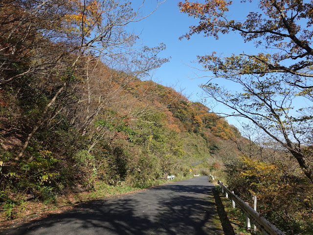 帰るみちすがら紅葉が綺麗です　鳥取県西伯郡大山町大山の大山環状道路