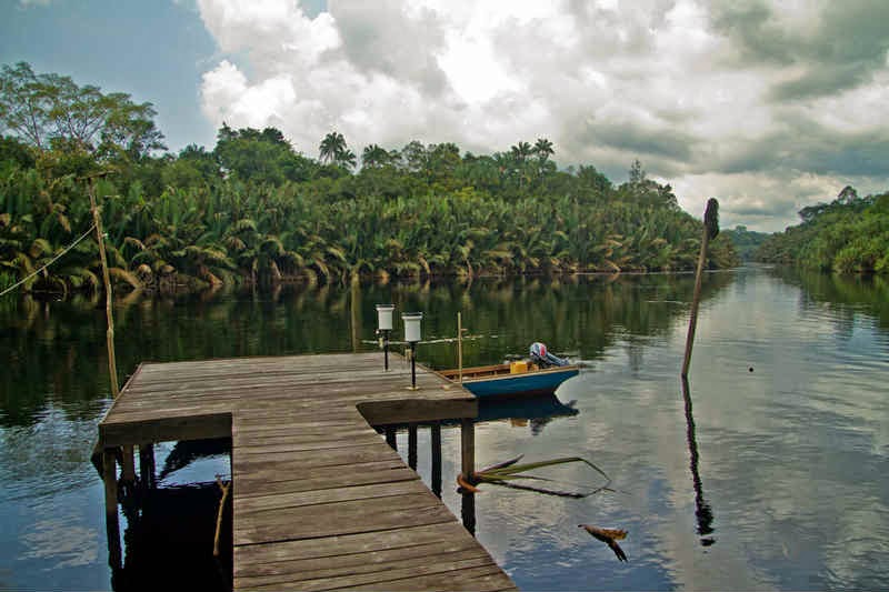 Taman Nasional Berbak