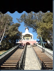 P1190425