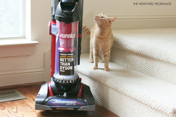 Top vacuum cleaner for pet hair very easily usning