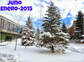 Juno: La primera Snow Emergency del 2015