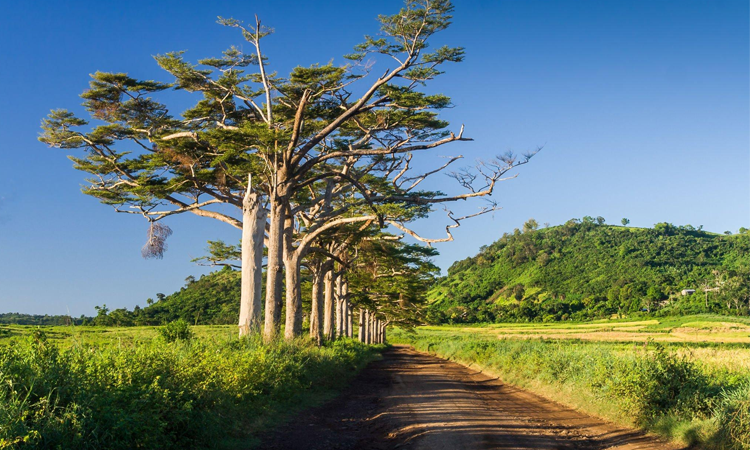 redéfinir les pratiques agricoles avec une feuille de route axée sur la préservation de la biodiversité pour Madagascar