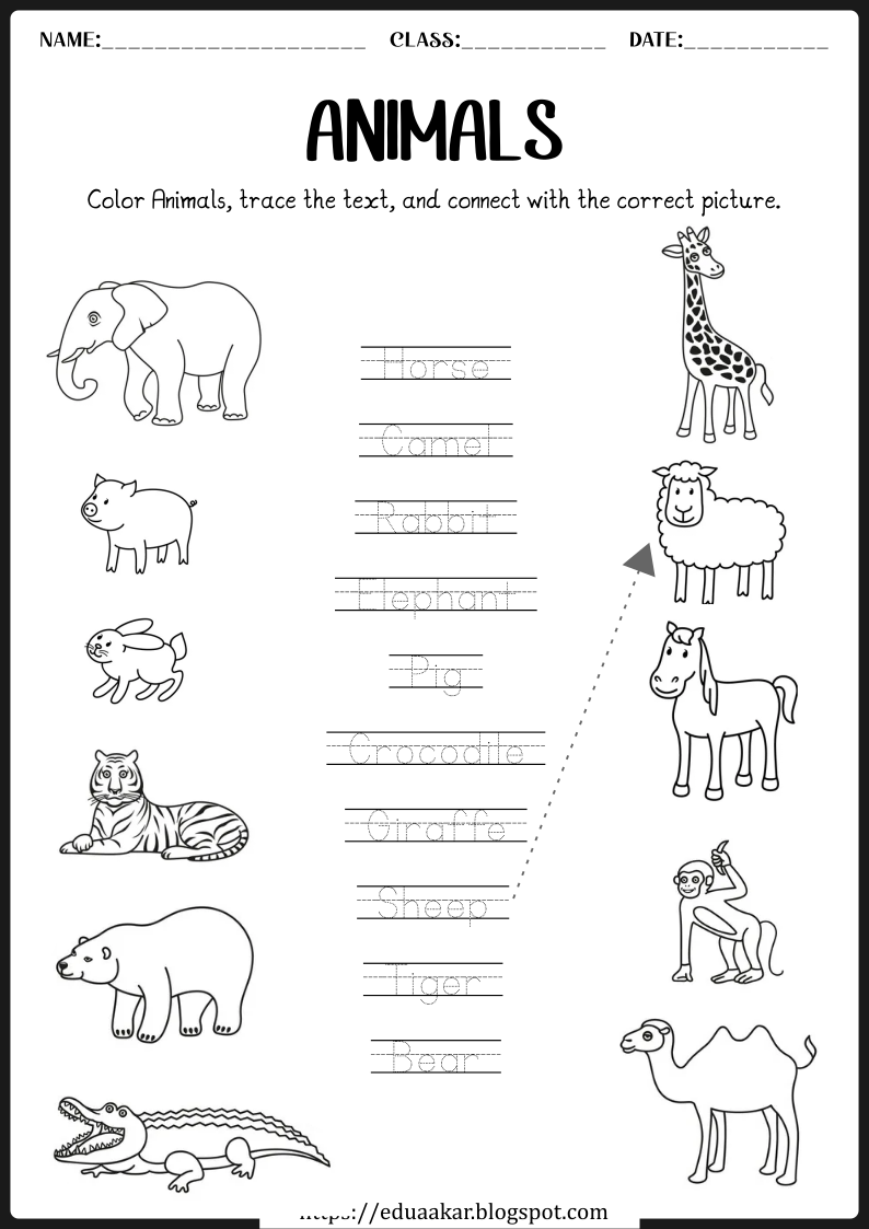 Animals worksheets