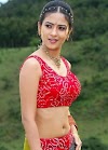 Aditi Sharma Hot And Sexy Full HD Photos