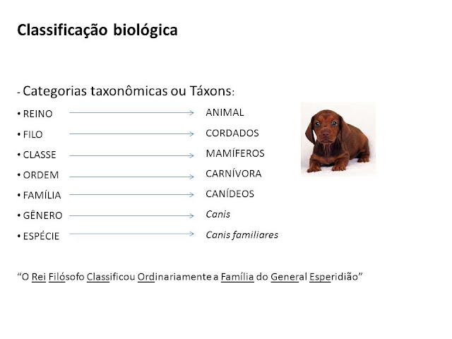 Classificação dos seres vivos