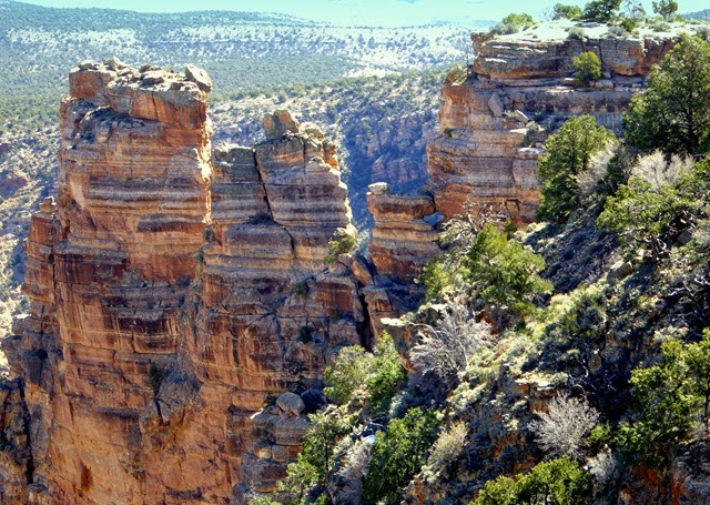 P1020954