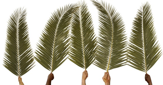 Happy Palm Sunday Quotes, Images And Messages for facebook, Whatsapp