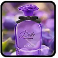 Dolce Violet Dolce & Gabbana