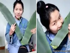 Vlogger Hampir Maut Tersalah Makan Daun Beracun