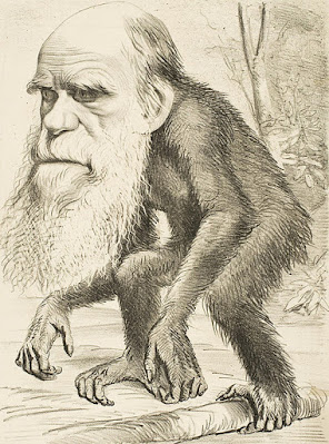 Caricatura de Darwin. Revista Hornet. 1871-Charles Darwin: Un cambio de abuelos. https://pinceladasdelpasado.blogspot.com