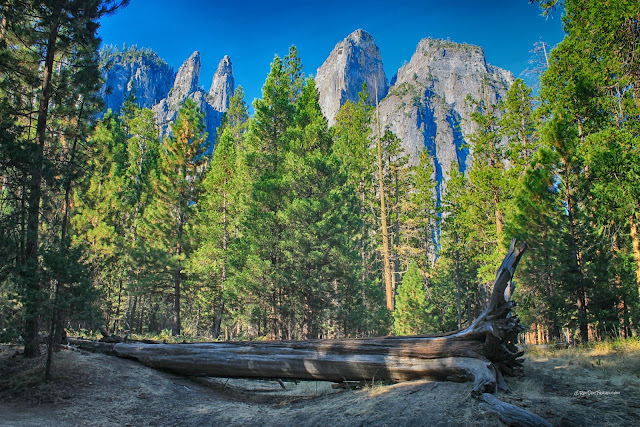 Yosemite National Park valley geology field trip glacier granite Sierra Nevada California copyright RocDocTravel.com