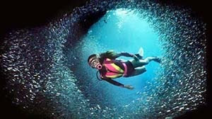 Tempat Menyelam Terbaik di Indonesia, Tempat Menyelam, Diving terbaik