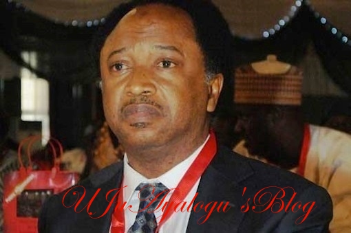 EFCC Operatives Invade Shehu Sani's Abuja Residence