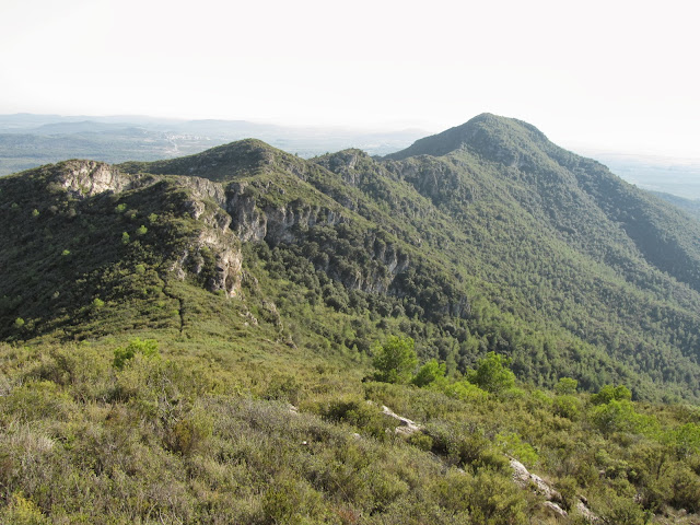 TOT TRAVESSANT LA SERRA DEL MONTMELL (De Mas d'en Bosc al Coll d'Arca), Serra del Montmell