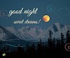 Good night status, sms in hindi - गुड नाइट स्टेटस, शायरी, मैसेज हिन्दी में -good night whatsapp status facebook status shayari wishes sms in Hindi [shubhkamnayestatus]