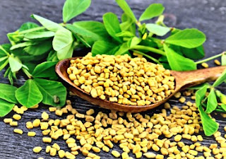 Fenugreek can also be beneficial for women during menopause.