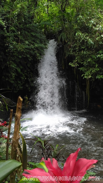 Air terjun Putri Ayu, Glenmore.